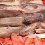 Frozen Panla (Stockfish) – 5kg