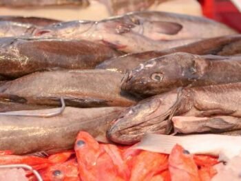 Frozen Panla (Stockfish) – 5kg