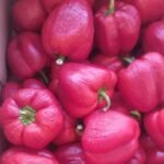 Fresh Bell Peppers – 5kg