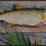 Frozen Croaker Fish