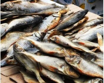 Saltfish – 1kg
