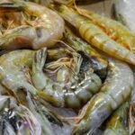 Frozen Shrimp – 2kg