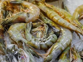 Frozen Shrimp – 2kg
