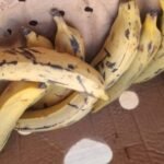Fresh Plantain – 5kg